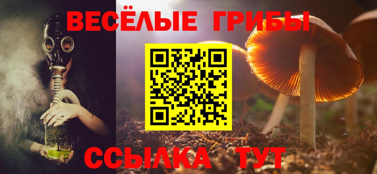 Псилоцибиновые грибы MAGIC MUSHROOMS  Вход с VPN  Ахтубинск  Псилоцибиновые грибы GOLDEN TEACHER 